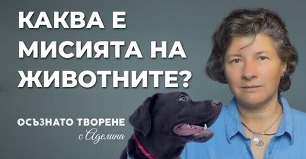 Каква е МИСИЯТА на ЖИВОТНИТЕ на Земята?