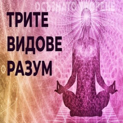 Трите видове разум